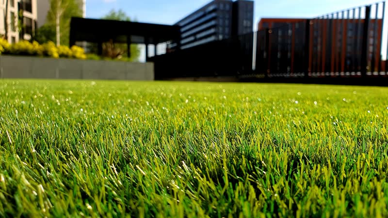 Lush green lawn and tidy outdoor space